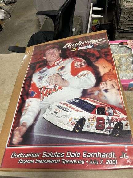 Earnhardt Jr 201 poster