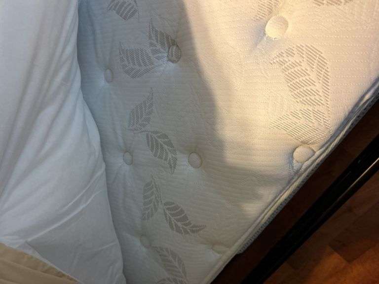 Absolutely gorgeous Kingsize  iron and wood with Night stand (comforter sold separately)