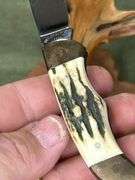 Elkhorn Taylor cutlery stag handle knife
