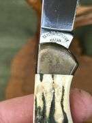 Elkhorn Taylor cutlery stag handle knife