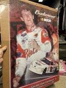 Earnhardt Jr 201 poster
