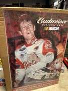 Earnhardt Jr 201 poster