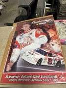 Earnhardt Jr 201 poster