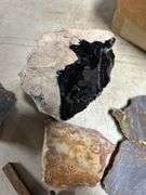 Collection of Oregon desert rocks. (Jasper and obsidian).