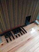 Organ