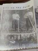 Al memorabilia books and misc  see pics