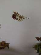Wall decor in living room