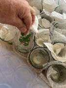 Crate of Holiday glasses and gold trim dessert bowls (20+ glasses & 15+)