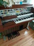 Organ