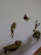 Wall decor in living room