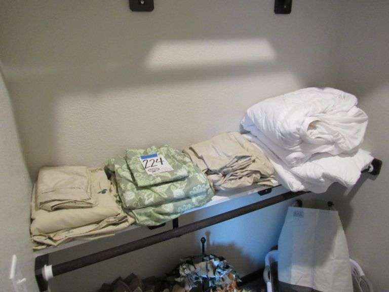 CONTENTS OF THE MIDDLE SHELF IN CLOSET