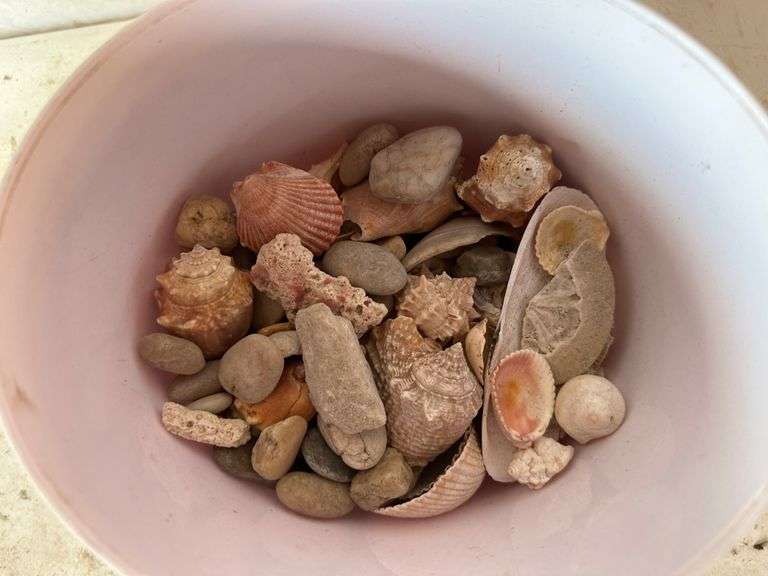 Lamp, Flowerpot, Shells