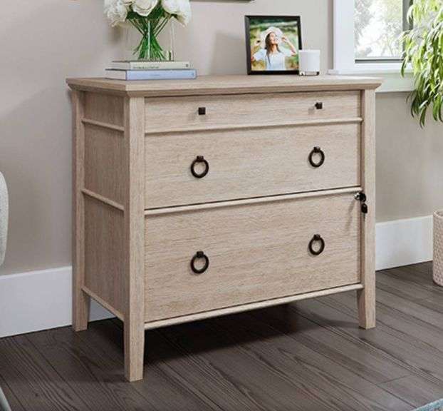 Sauder 2-Drawer Lateral File Cabinet in Cascade Oak Finish - Metzger ...