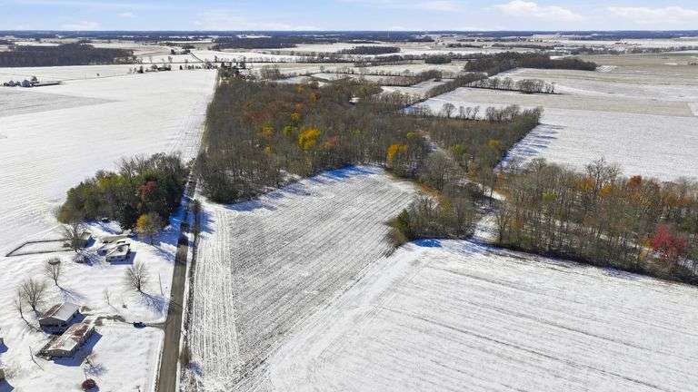 Tract 2: 15.91+/- Acres of Cropland & Woods
