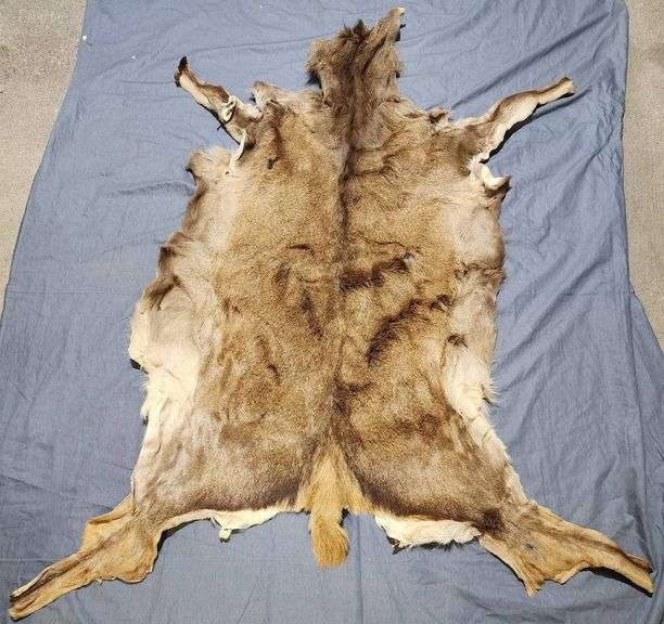 Tanned Animal Hide Measuring 53″x63″ - Metzger Property Services, LLC