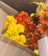 Mystery Pallet of Mixed Dollar General Returns