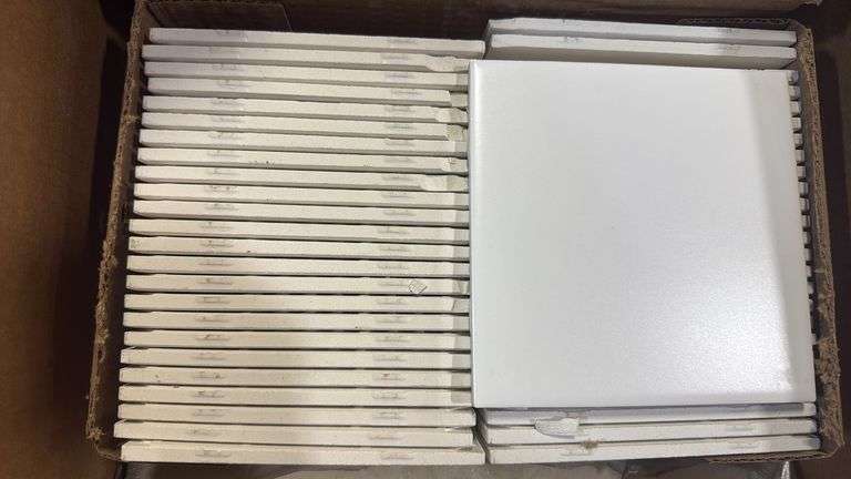 Daltile
Matte Arctic White 6 in. x 6 in. Ceramic Wall Tile (12.5 sq. ft. / case)