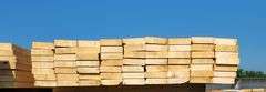 63-Spruce/Pine/Fir 2”x6”x16’ you are bidding times the money