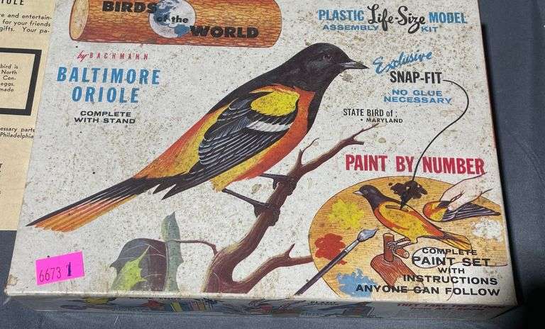 Paint-by-Number Baltimore Oriole Model Kit with Assembly Instructions