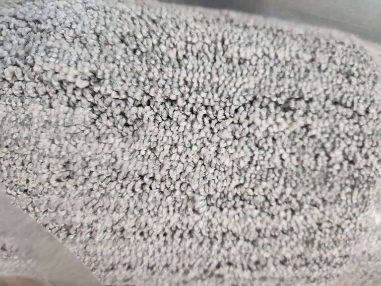 LifeProof Plush Area Rug 5Ft x 7Ft