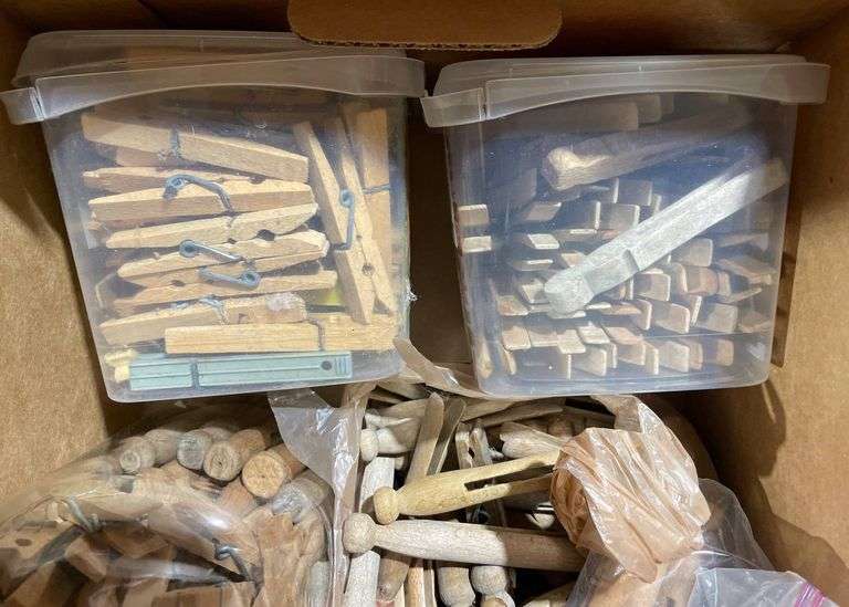 Clothes Pegs and Wood Craft Pieces