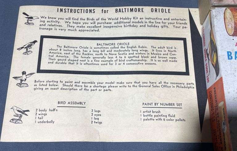 Paint-by-Number Baltimore Oriole Model Kit with Assembly Instructions
