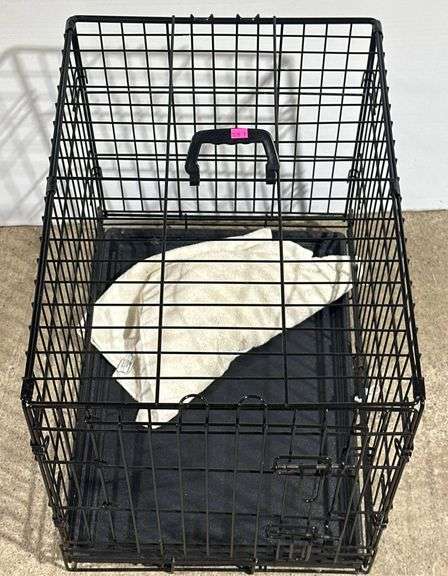 Black Metal Wire Cage with Handle and Removable Tray, 24x17x21″