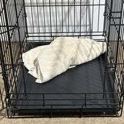 Black Metal Wire Cage with Handle and Removable Tray, 24x17x21″