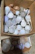 Light Bulbs