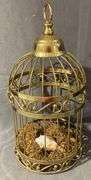 Black Textured Storage Box With Glass Knob Lid and Brass Wire Cage with Faux Nest