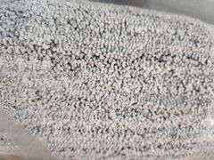 LifeProof Plush Area Rug 5Ft x 7Ft