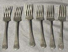 Stainless Nickel Silver Flatware in Case
