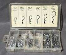 Hair Pins in Plastic Storage Case by Performance Tool