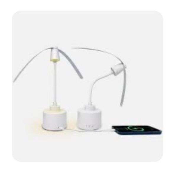 Portable Fly Fans with Integrated Light and USB Charging, 2-Piece Pack ...