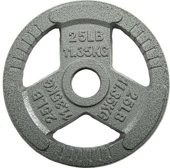 2 Inch Weight Handle HULKFIT - HulkFit 2 inch Cast Iron Weight Plate with Multi-Grip Handles ...
