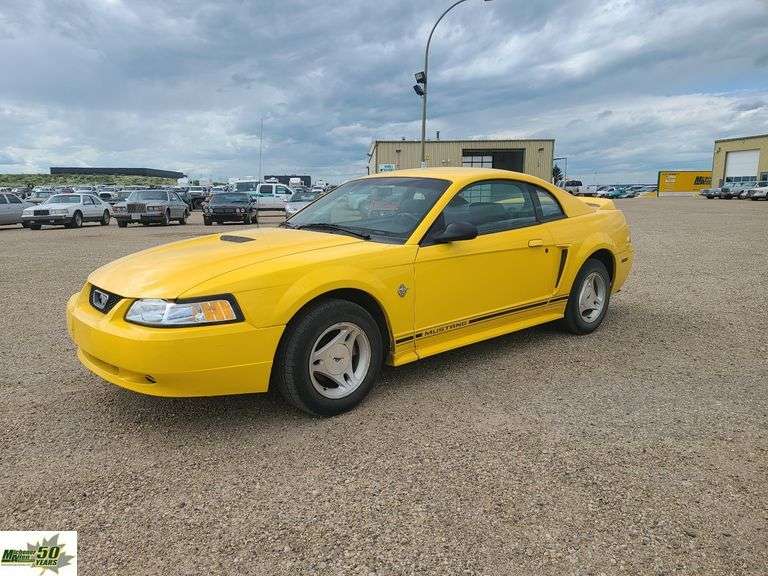 35Th ANNIVERSARY EDT. 1999 Ford Mustang