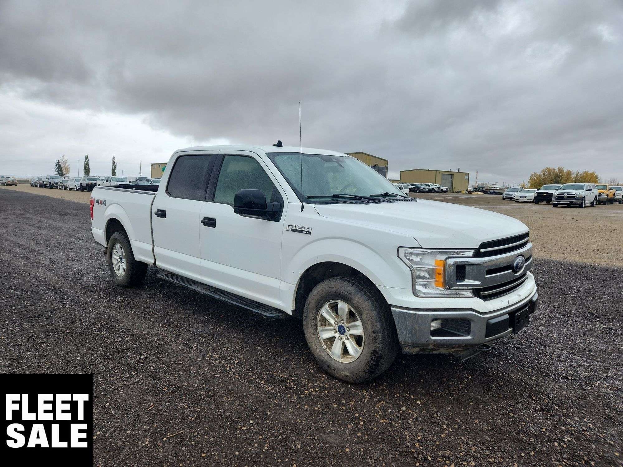 2020 FORD F-150 XLT AMRセーフティチーム 2020 Ford F-150 4x4 XLT 4dr SuperCrew 6.5 ft. SB - Michener Allen