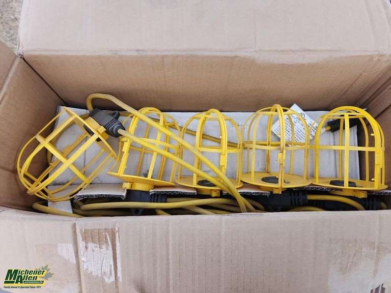 Open Box Of 10 String Lights No Bulbs