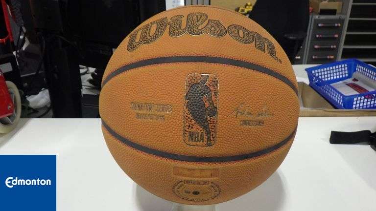 Wilson Signature Series Indoor/Outdoor Basketball (size 7) Wilson  Signature Series Indoor/Outdoor
