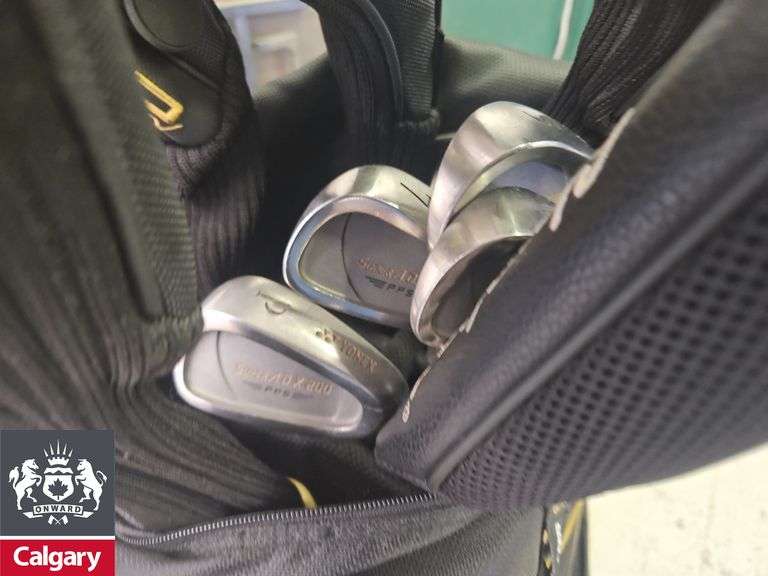 Cobra Golf Clubs in Bag (Not All Cobra)