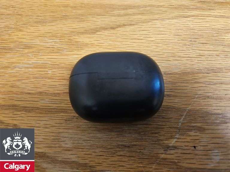 Redmi Earbuds in Case *No Cords, Working Condition Unknown*