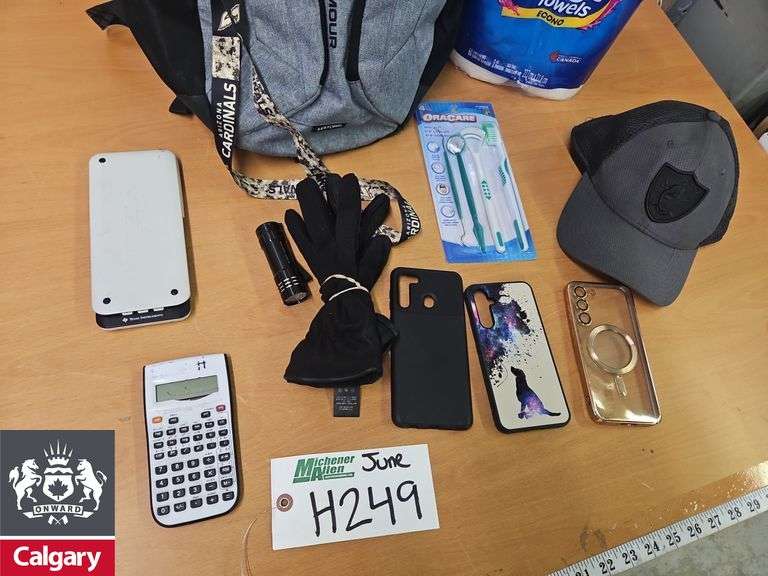 Backpack with Paper Towels, Hat, Phone Cases, Gloves, and Dental Set