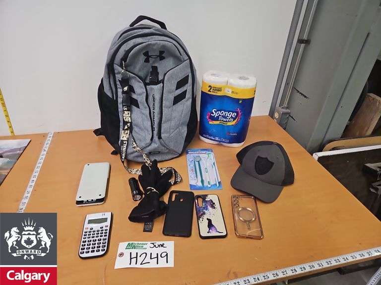 Backpack with Paper Towels, Hat, Phone Cases, Gloves, and Dental Set