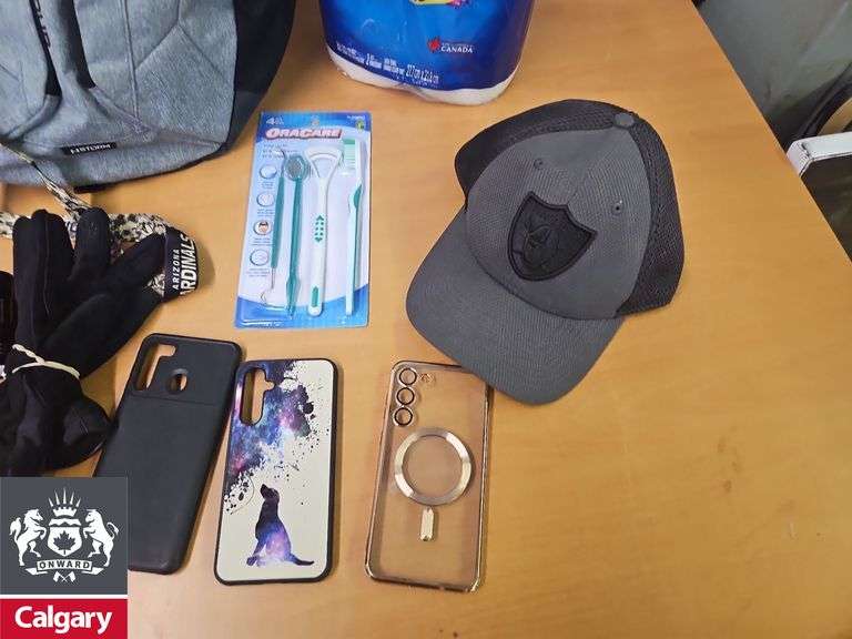 Backpack with Paper Towels, Hat, Phone Cases, Gloves, and Dental Set