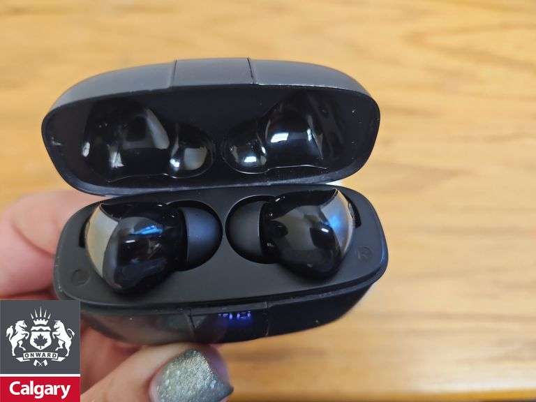 Earbuds in Case *No Cords, Working Condition Unknown*