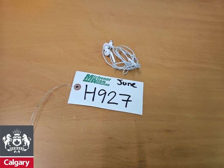 Apple Earbuds *Working Condition Unknown, Cannot Guarantee Authenticity*
