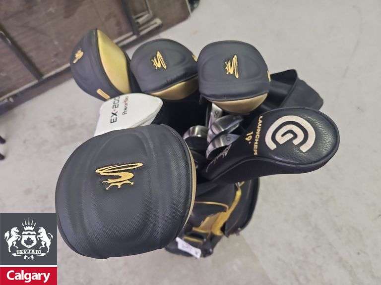 Cobra Golf Clubs in Bag (Not All Cobra)