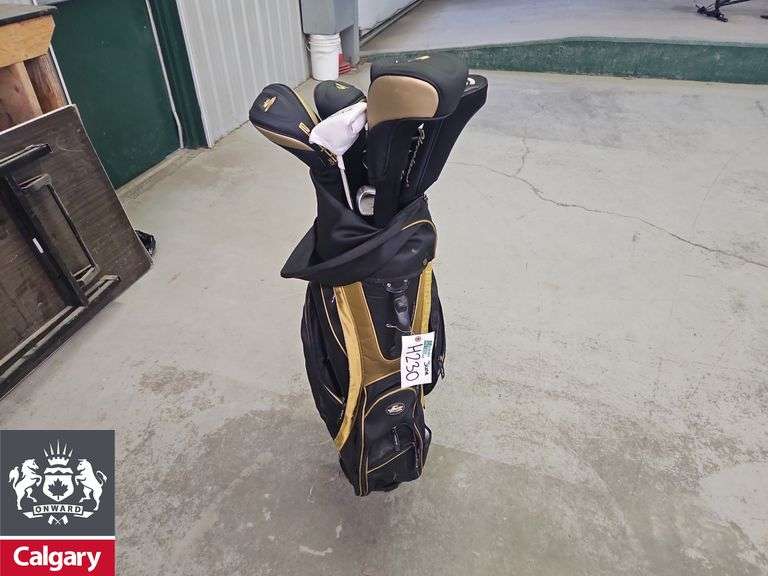 Cobra Golf Clubs in Bag (Not All Cobra)