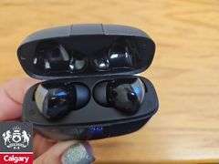 Earbuds in Case *No Cords, Working Condition Unknown*