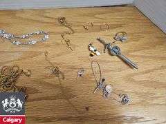 Various Costume Jewelry (Tangled)